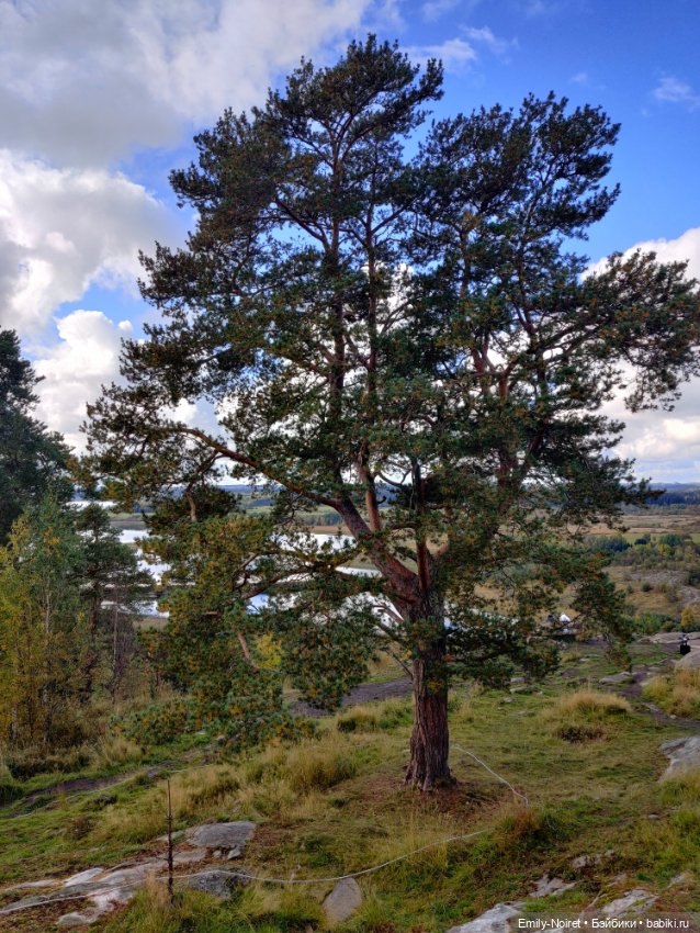 Карельские каникулы: Паасонвуори