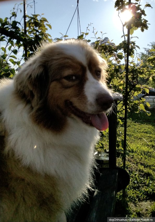 Девочки-зайки "Русская роспись" (фото 9)