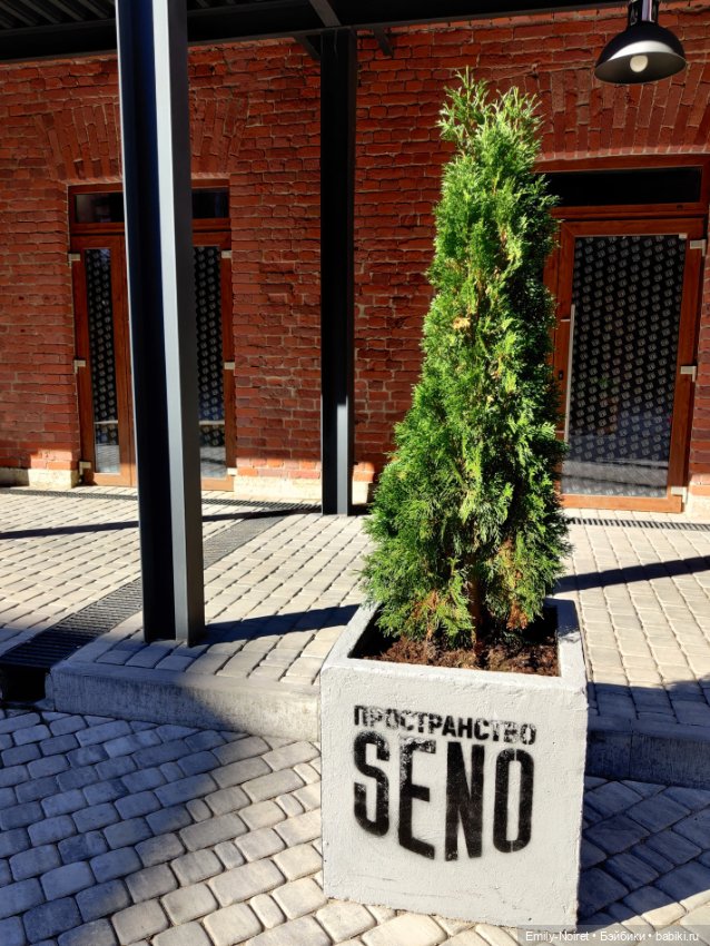 Карельские каникулы: Всё закончилось в Питере