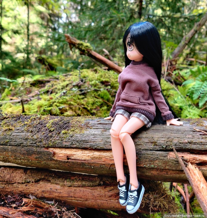 Карельские каникулы: Паасонвуори