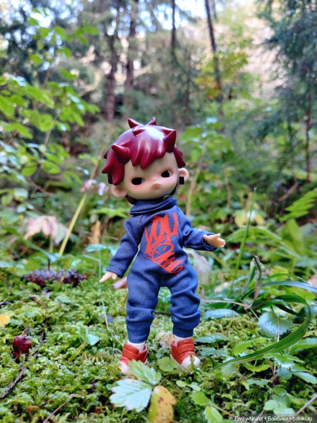 Карельские каникулы: Паасонвуори