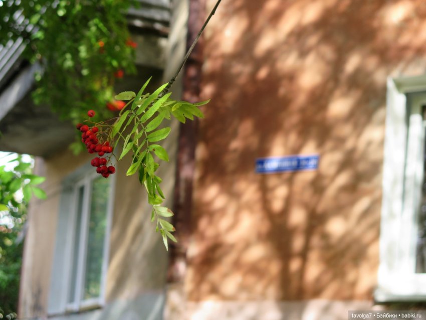 Дюймовочка на Балтике — Советские винтажные куклы (СССР): Ленигрушка (фото 5)