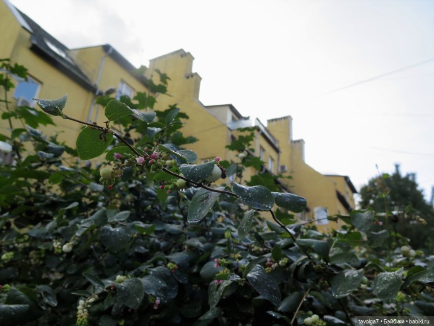 Дюймовочка на Балтике — Советские винтажные куклы (СССР): Ленигрушка (фото 9)