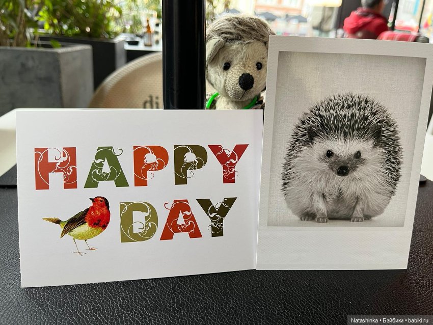 Fashion Dolls 411 — Туризм и путешествия: фотоотчеты из поездок