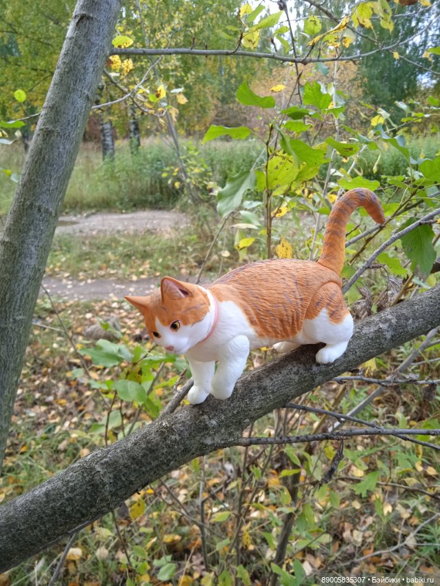 Рыжик и осень — Куклы с Алиэкспресс (Aliexpress): Китайские шарнирные (фото 4)