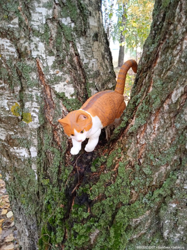 Рыжик и осень — Куклы с Алиэкспресс (Aliexpress): Китайские шарнирные