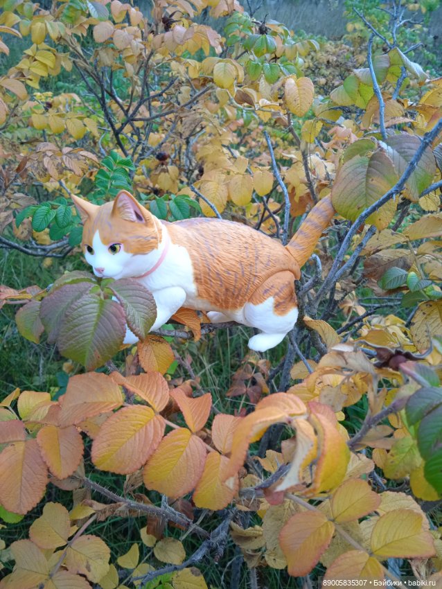 Рыжик и осень — Куклы с Алиэкспресс (Aliexpress): Китайские шарнирные