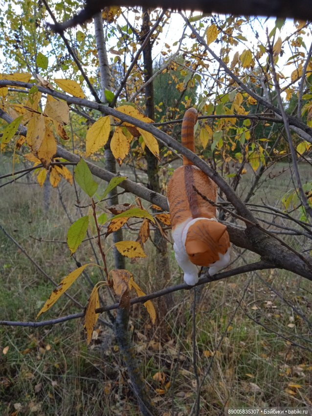 Рыжик и осень — Куклы с Алиэкспресс (Aliexpress): Китайские шарнирные (фото 9)