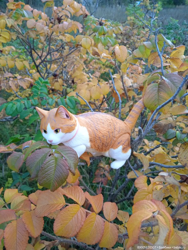 Рыжик и осень — Куклы с Алиэкспресс (Aliexpress): Китайские шарнирные