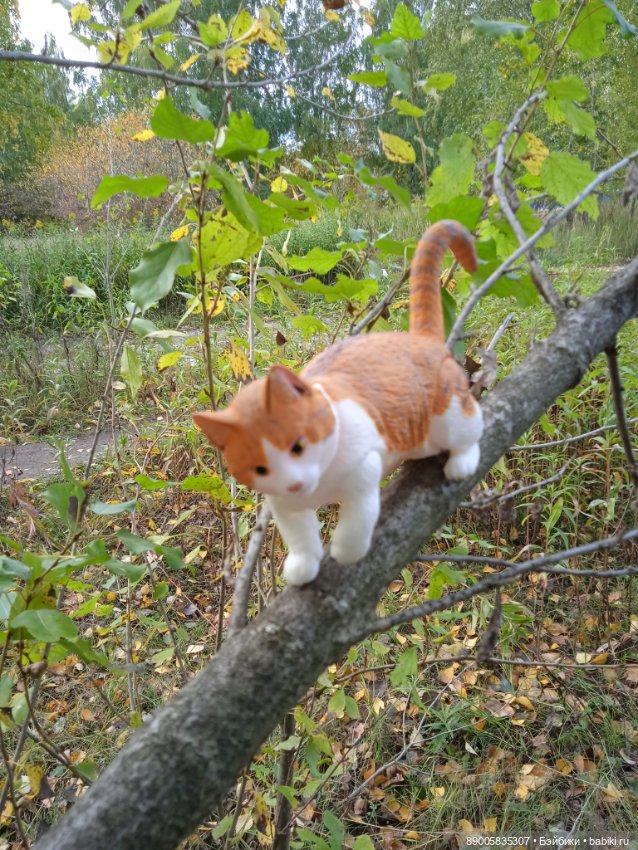 Рыжик и осень — Куклы с Алиэкспресс (Aliexpress): Китайские шарнирные (фото 5)