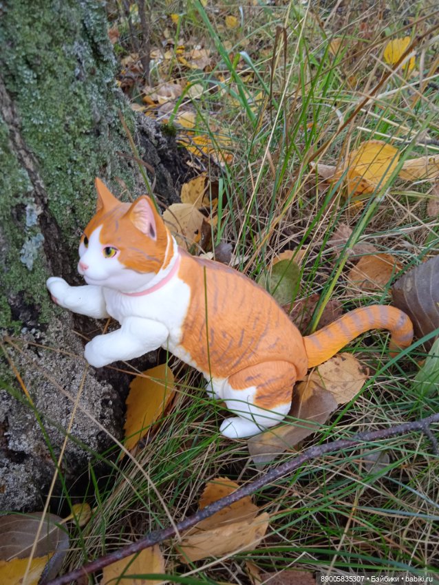 Рыжик и осень — Куклы с Алиэкспресс (Aliexpress): Китайские шарнирные (фото 3)