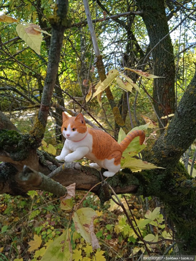 Рыжик и осень — Куклы с Алиэкспресс (Aliexpress): Китайские шарнирные