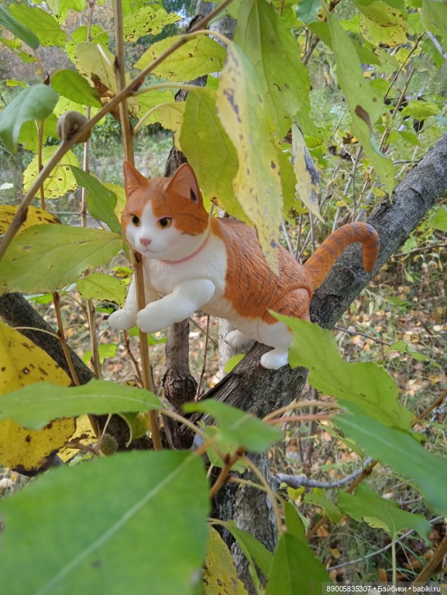 Рыжик и осень — Куклы с Алиэкспресс (Aliexpress): Китайские шарнирные (фото 6)