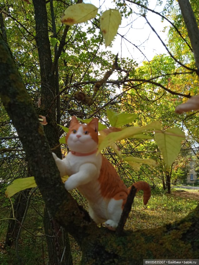 Рыжик и осень — Куклы с Алиэкспресс (Aliexpress): Китайские шарнирные