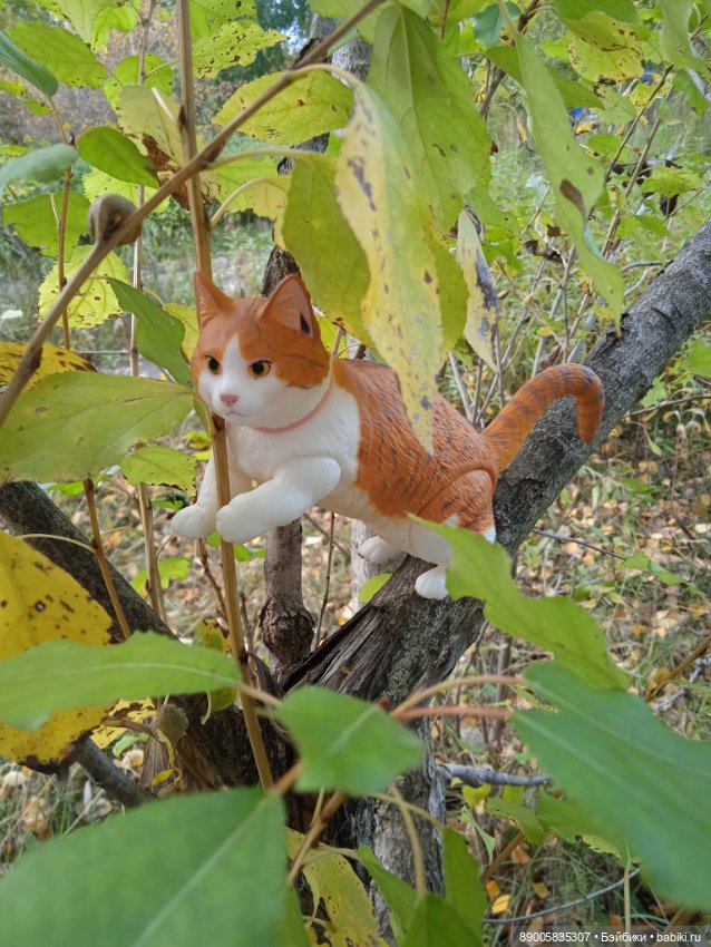 Рыжик и осень — Куклы с Алиэкспресс (Aliexpress): Китайские шарнирные (фото 7)