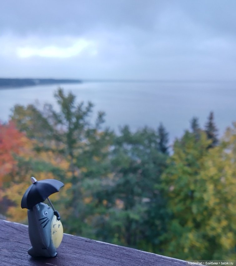 Тоторо. Часть 2. Большая вода (фото 4)