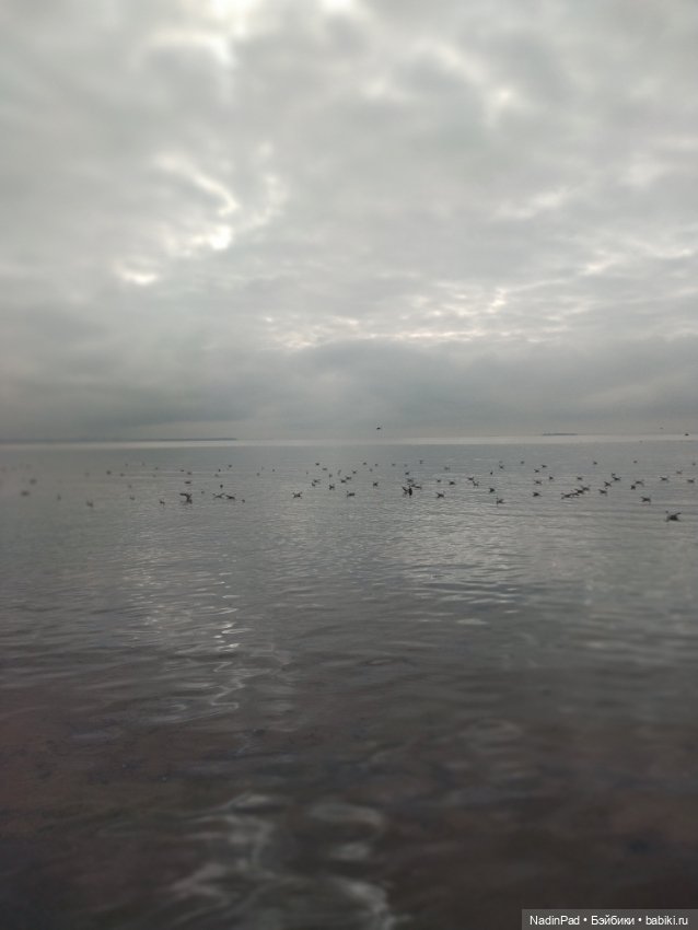 Тоторо. Часть 2. Большая вода (фото 9)