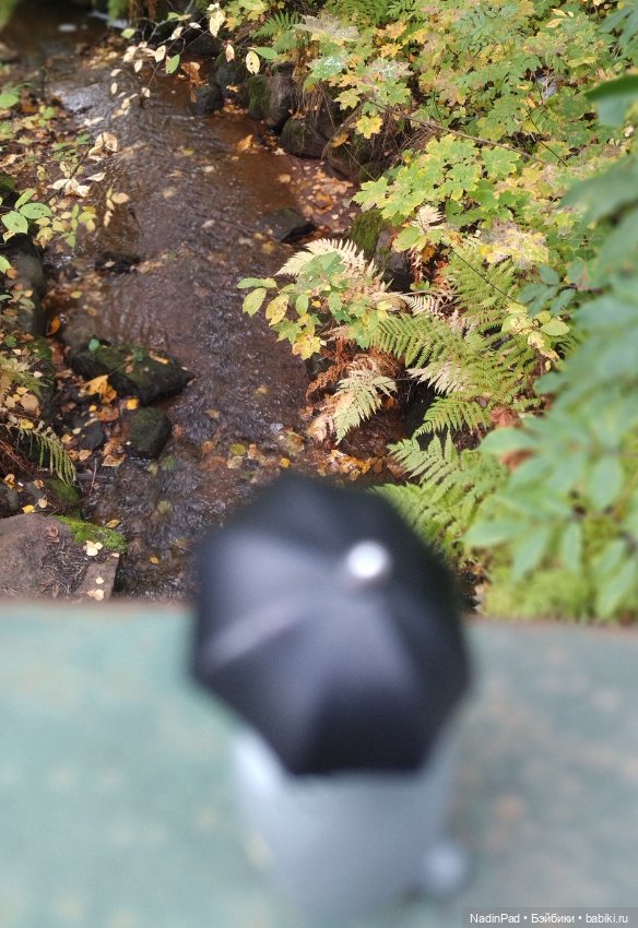 Тоторо. Часть 2. Большая вода (фото 2)