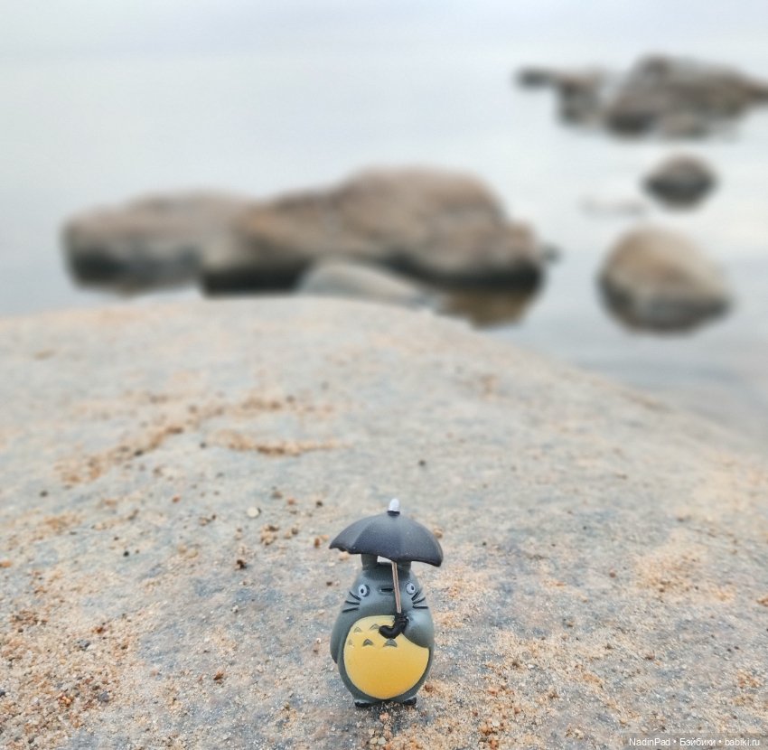 Тоторо. Часть 2. Большая вода (фото 5)