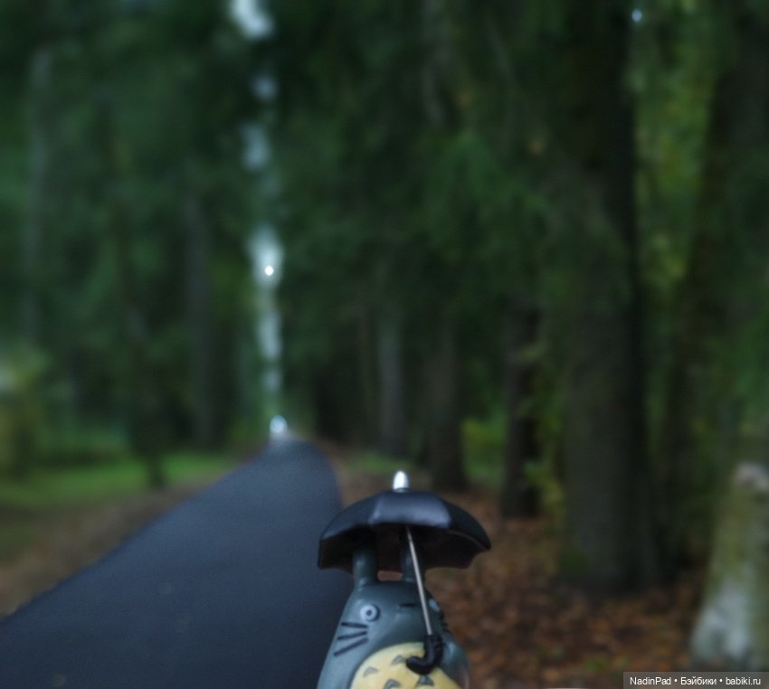 Тоторо. Часть 2. Большая вода