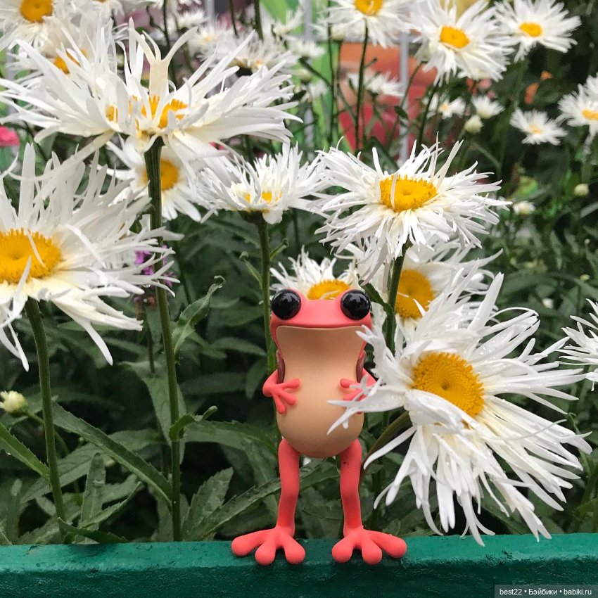 Лягушки Apo Frog от Twelvedot