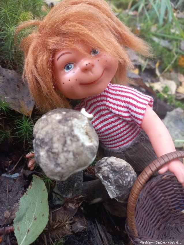 Как Миша и Сеня в лес ходили (фото 5)