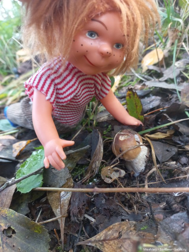 Как Миша и Сеня в лес ходили