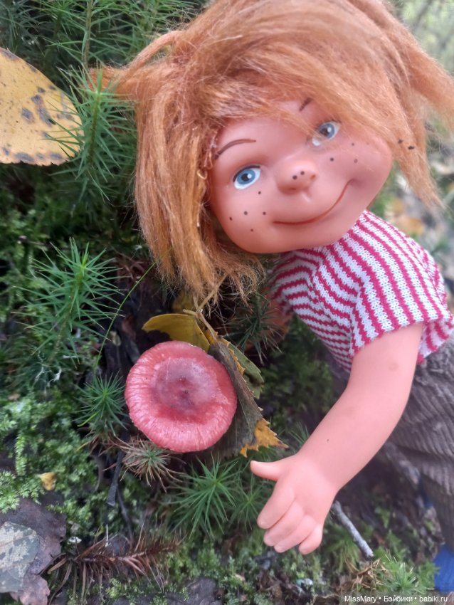 Как Миша и Сеня в лес ходили (фото 8)