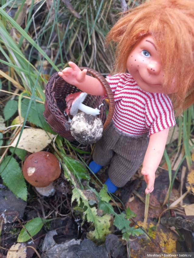 Как Миша и Сеня в лес ходили (фото 10)