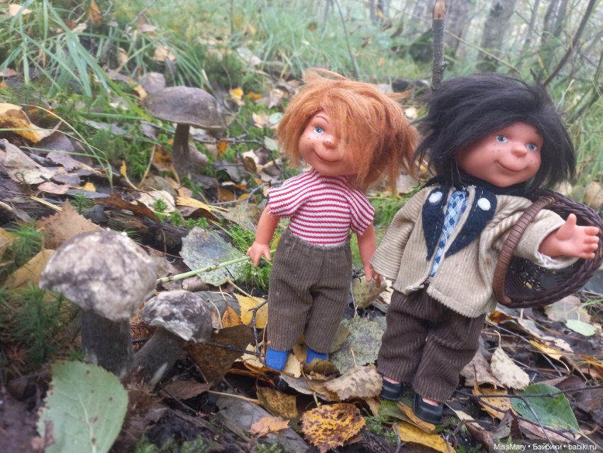 Как Миша и Сеня в лес ходили (фото 2)