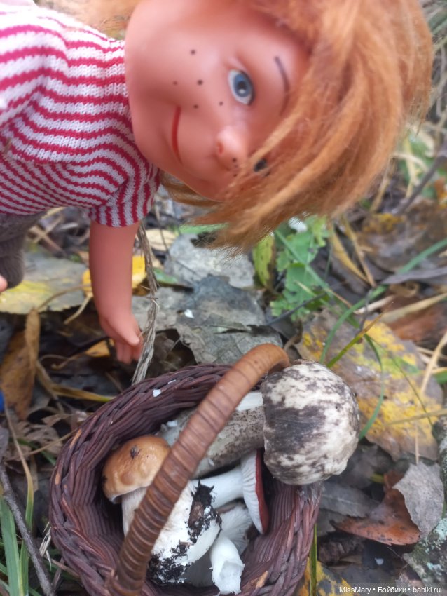 Как Миша и Сеня в лес ходили