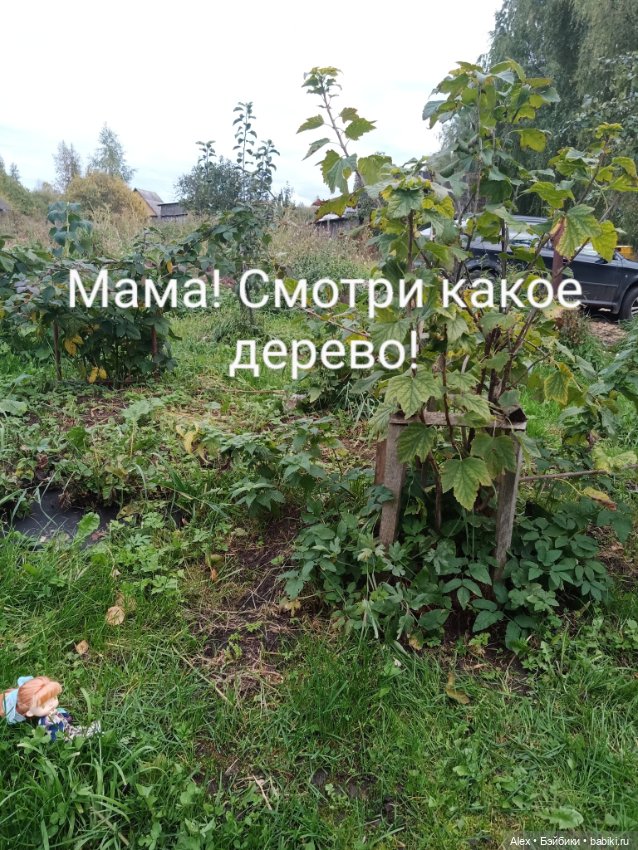 Прогулка с Зайкой — Куклы Xiaomi Monst (Сяоми) и Pipitom: шарнирные