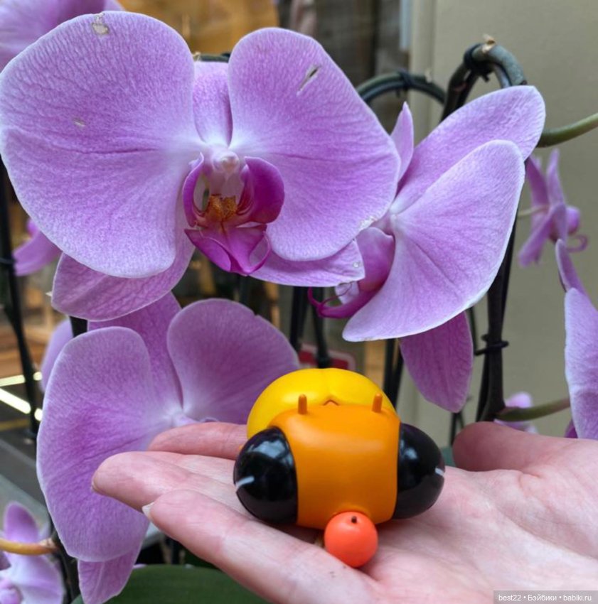 Лягушки Apo Frog от Twelvedot (фото 5)