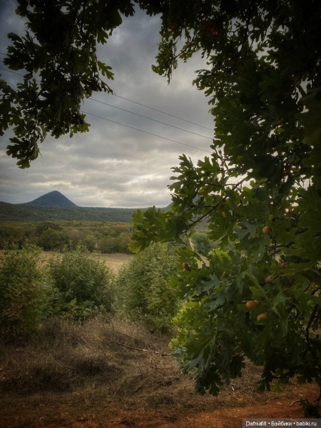 Цвет настроения красный — Куклы Ptichka Art Doll (Ирина Кузина): BJD