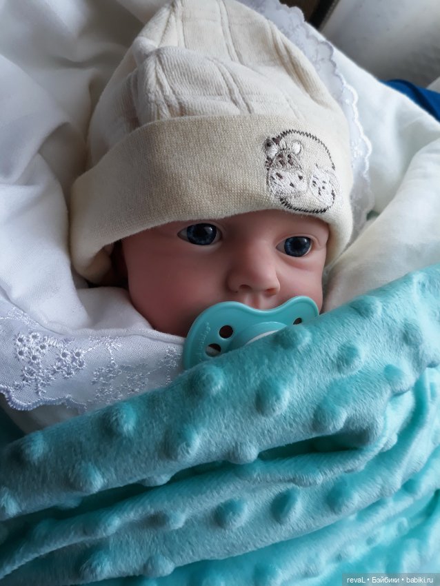 Тест ДНК или как у Lou-Lou нашелся родственник в Китае