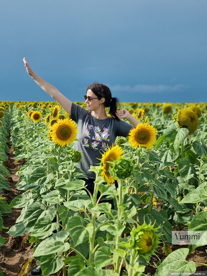 Путешествие Человечка — Коллекционные фигурки (разное): животные