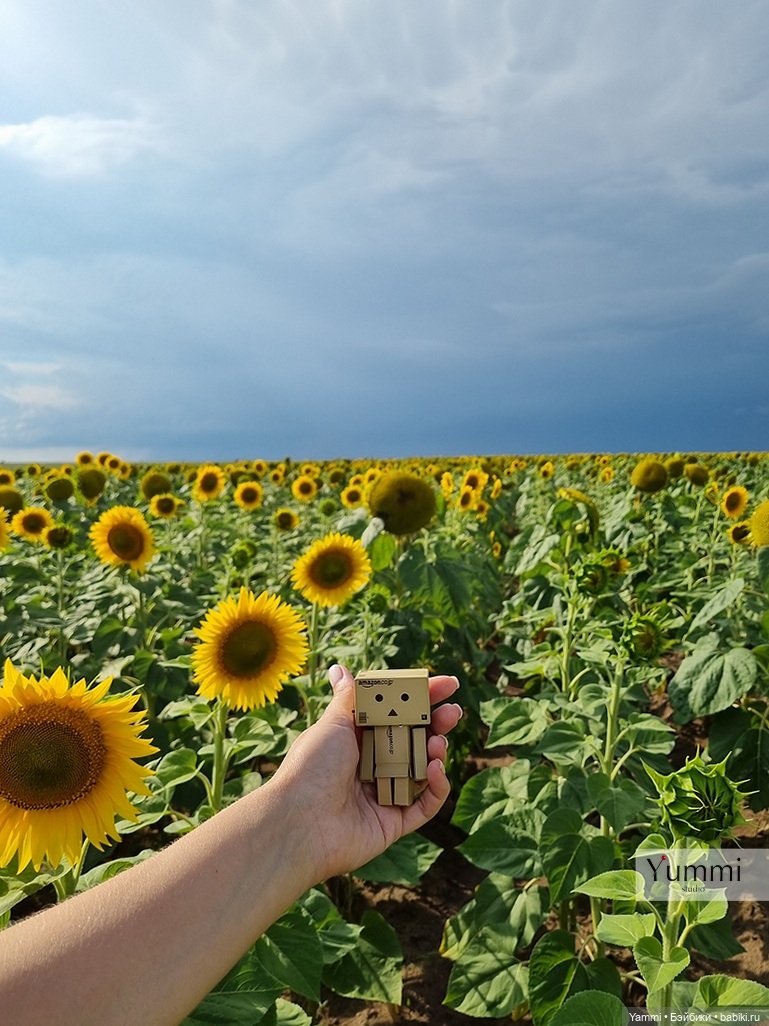 Путешествие Человечка — Коллекционные фигурки (разное): животные