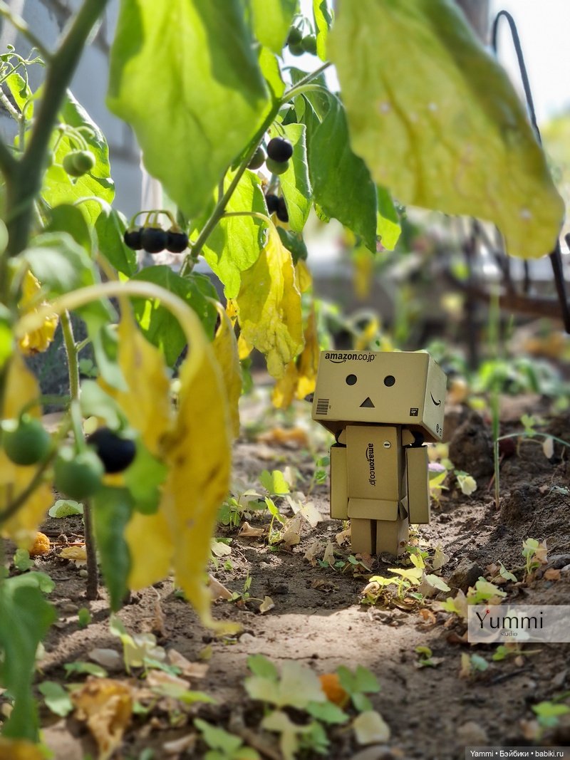 Путешествие Человечка — Коллекционные фигурки (разное): животные