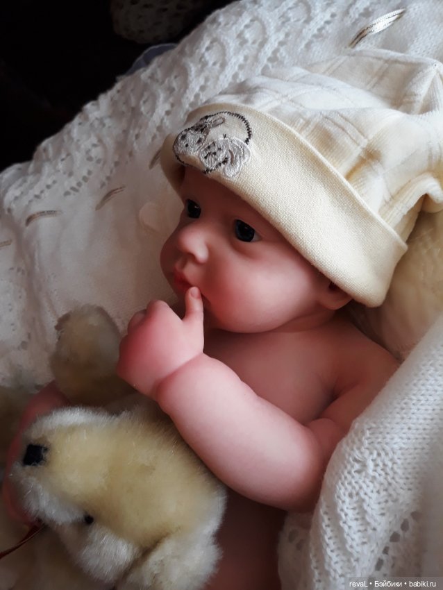 Тест ДНК или как у Lou-Lou нашелся родственник в Китае