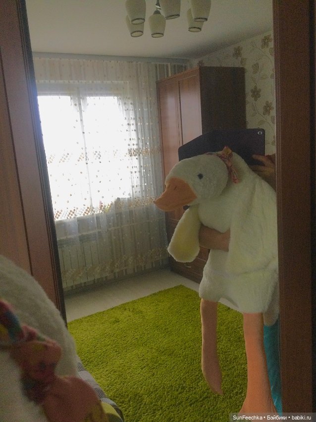 Гусемания у нас дома. Савелий 🪶 (фото 4)