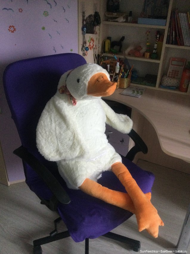 Гусемания у нас дома. Савелий 🪶 (фото 5)