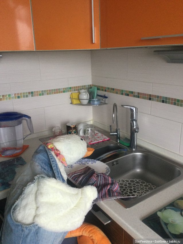 Гусемания у нас дома. Савелий 🪶