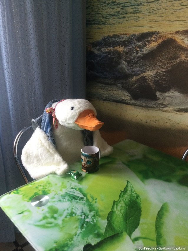 Гусемания у нас дома. Савелий 🪶 (фото 2)