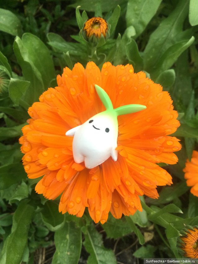 Горшечная поросль - Малыш Лу (фото 3)