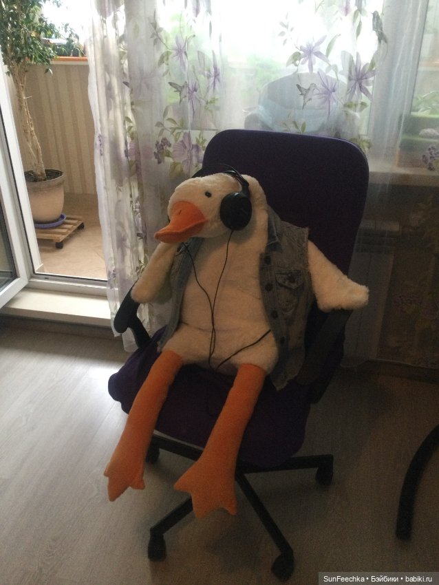 Гусемания у нас дома. Савелий 🪶 (фото 7)