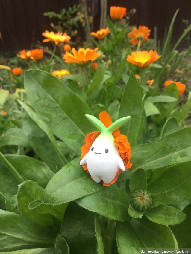 Горшечная поросль - Малыш Лу (фото 2)