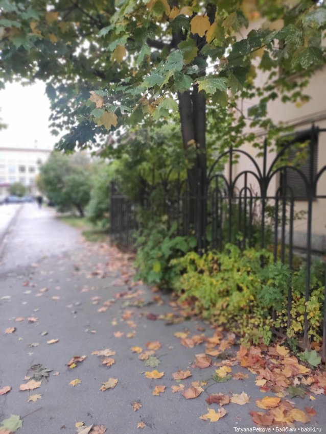 Настроение: Настя — Домашние фото авторских кукол: личные коллекции (фото 9)