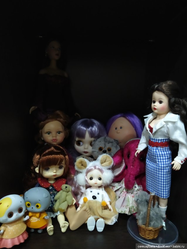 Кукольные полочки — Домашние коллекции кукол: фото собраний (фото 8)
