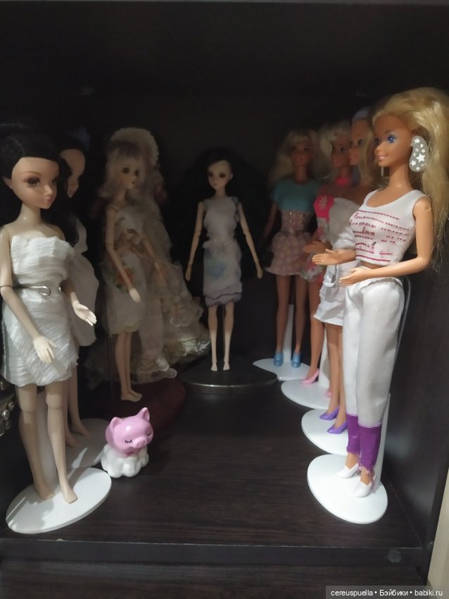 Кукольные полочки — Домашние коллекции кукол: фото собраний (фото 4)