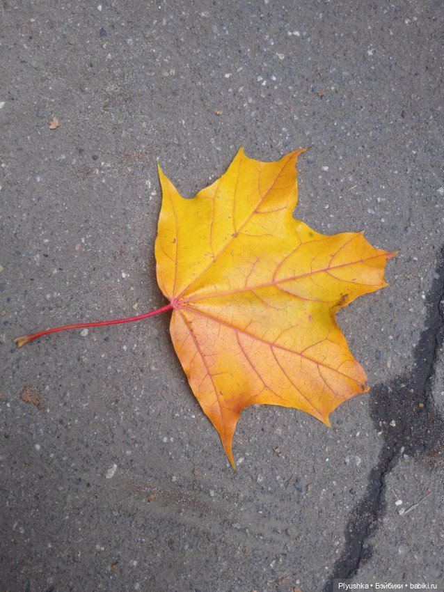 Осень и Мята — Домашние фото авторских кукол: личные коллекции (фото 3)